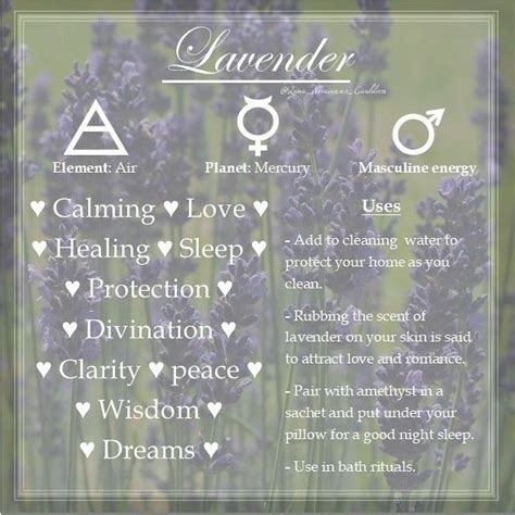 DIY Lavender Spell Jars: Infusing Magic and Intent with Witchcraft